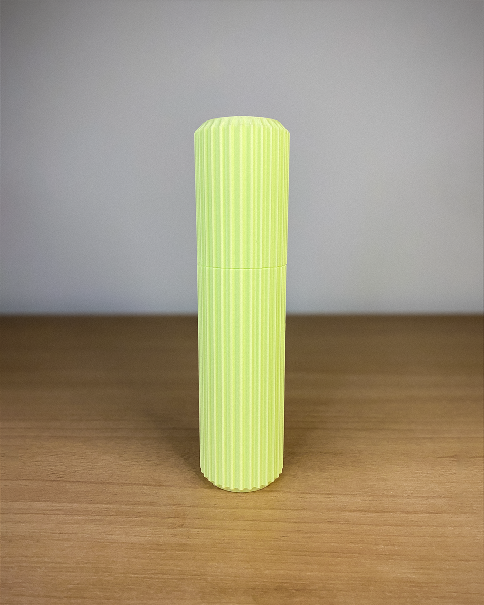RINZO TOOTHBRUSH TRAVEL CASE 2 1350